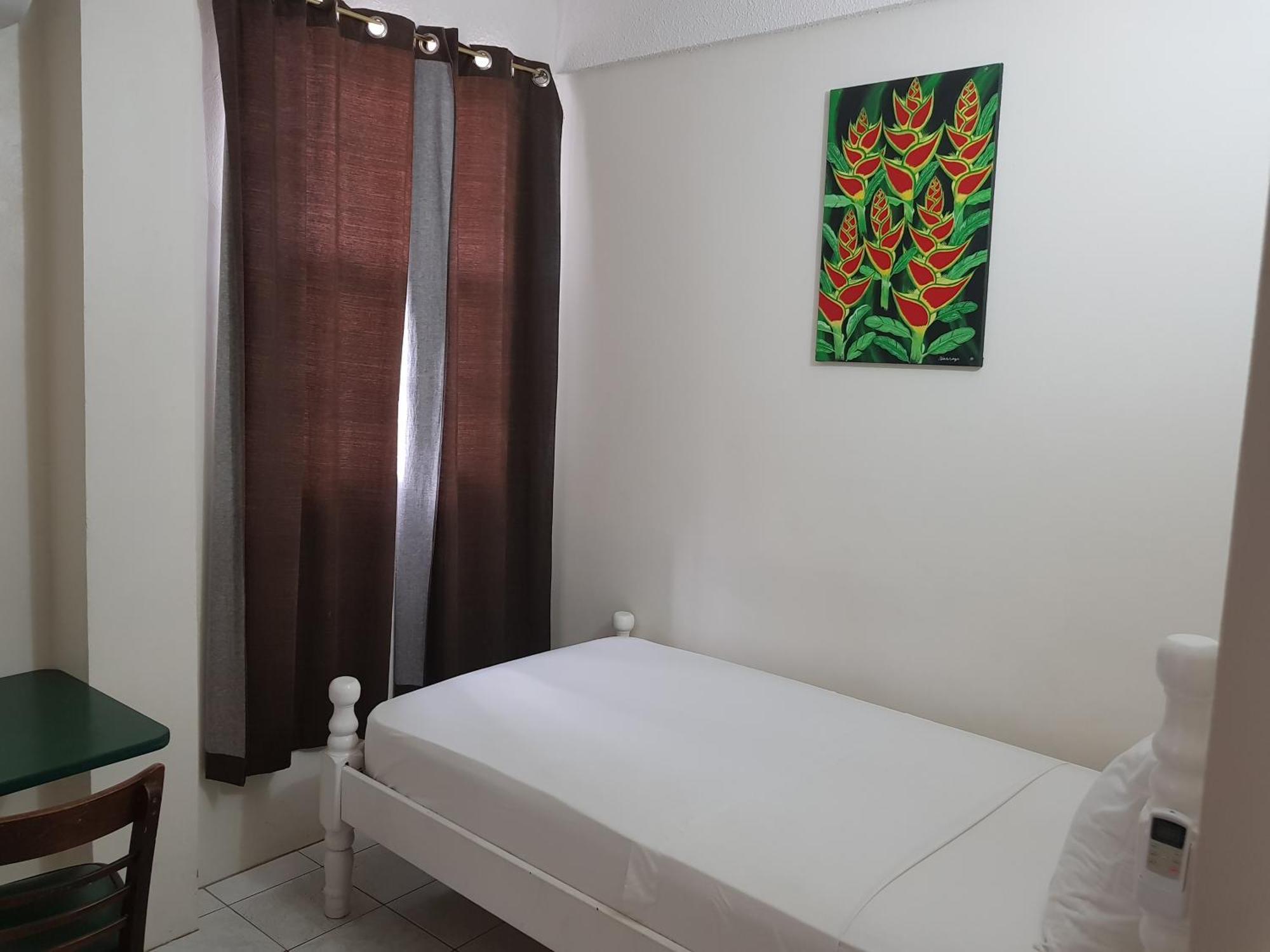 St. James Guesthouse Roseau Bagian luar foto